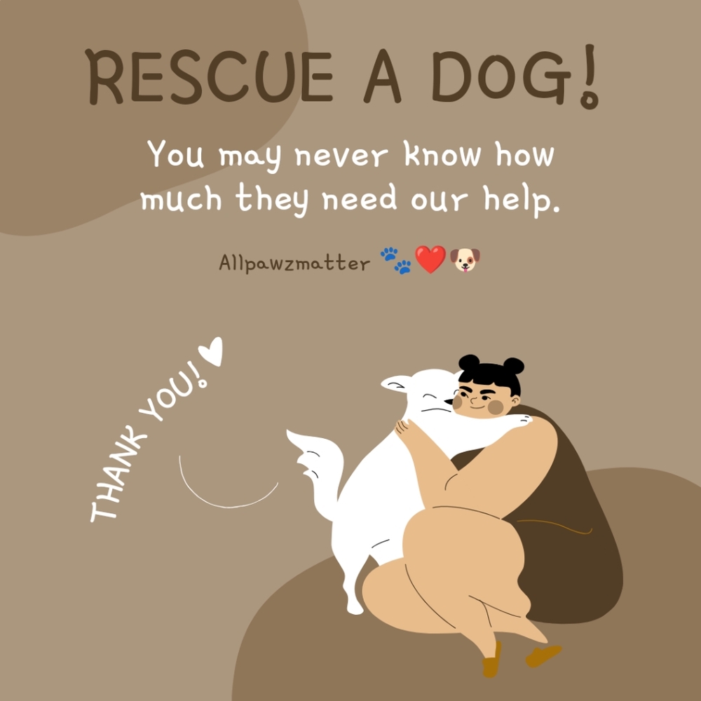 Deal Of The Day: Bundle to Save $! - Picture 5 of 5